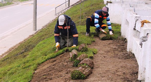 Lapseki'de Çevre Düzenlemeleri Devam Ediyor