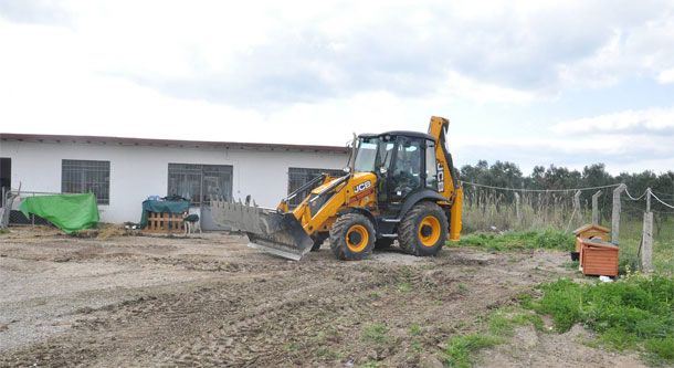 Medeni Ülkelerde İnsanlar Doğayı Katletmez