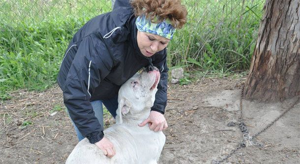 Veterinerlik Birimi Ekiplerimiz Çalışmalarına Devam Ediyor