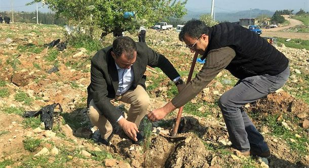 Ayvalık Belediye Başkanı Rahmi Gençer Ağaç Dikti