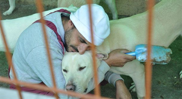 Edremit`te Sokak Hayvanları Bakım Merkezi Açıldı