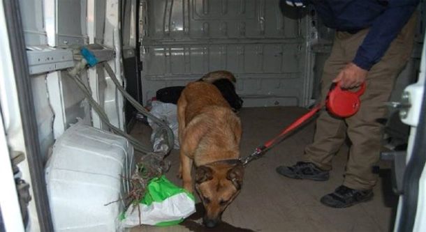 Bandırma`da Dedektör Köpeklerle Arama Yapıldı