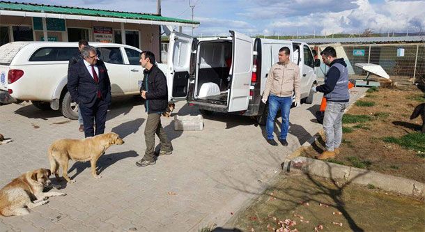 Başkan Dursun Mirza Belediye Barınağı Denetledi