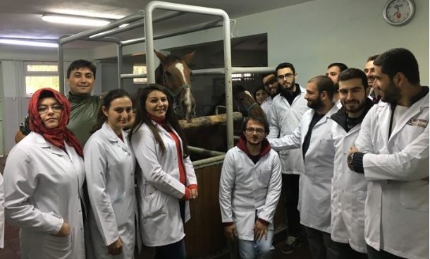 BAUN`lu Veteriner Hekim Adayları, Gemlik Askeri Veteriner Okulunda Kısrakları İnceledi
