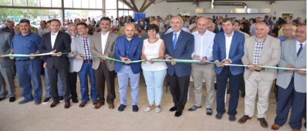 Bursa Yüzünü Denize Döndü