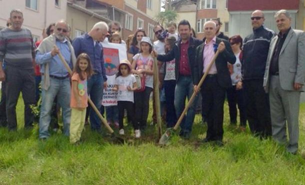 Fidanlar daha yeşil bir Nilüfer için dikildi