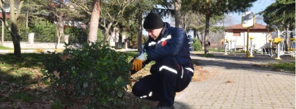 Karesi küçük dokunuşlarla güzelleşiyor