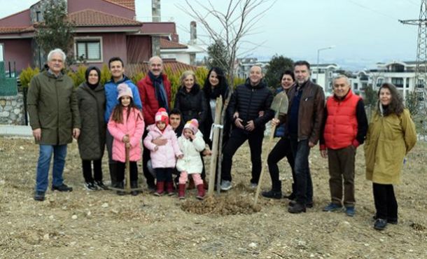 Katılımcılıkta gelinen nokta