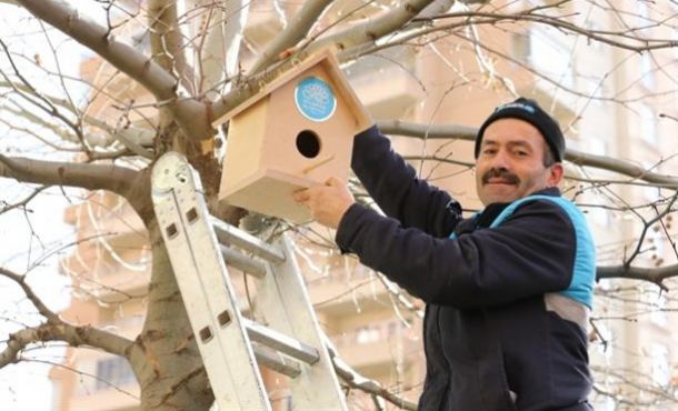 Kuşlara soğuk havada sıcak yuva