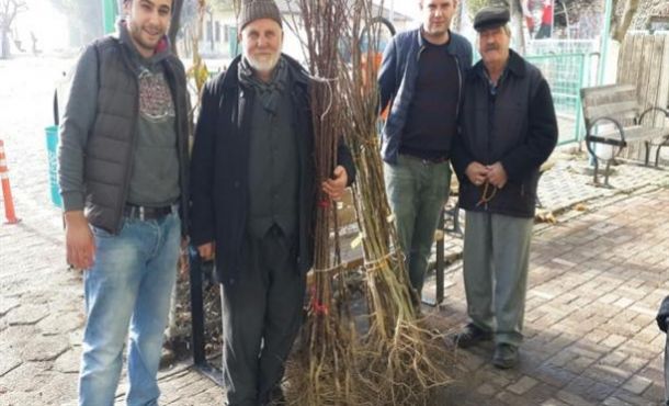 Meyve fidanları Nilüfer Belediyesi’nden