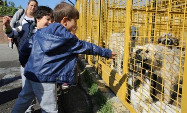 Nilüfer’de can dostları için seferber oldular