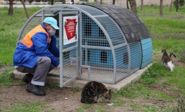 Nilüfer’de can dostları unutulmuyor