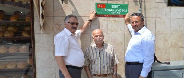 Şehit Tabelaları Yenilendi
