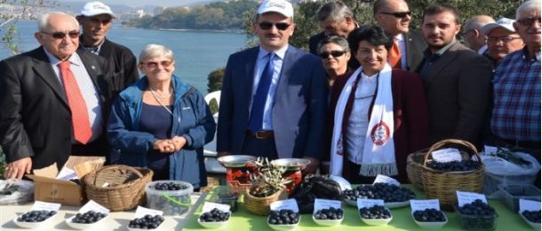 Zeytin Festivaline Görkemli Açılış